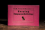 Ensuing Impuzzibilities by Jim Steinmeyer 