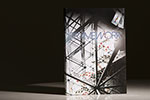 Framework by Tom Frame (Book)