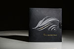 Insight (gimmicks & DVD) by Tom Elderfield 