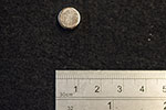 Neodymium Magnet - 10mm x 5mm