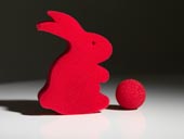 MIRACLE RABBIT