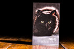 Nine Black Cats by Neemdog and Lorenzo 